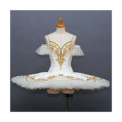 オーロラ24:ctu13aurora24